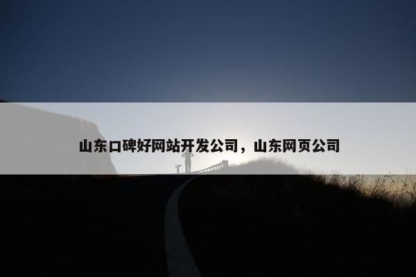 山东口碑好网站开发公司，山东网页公司