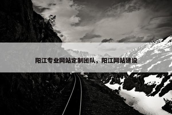 阳江专业网站定制团队，阳江网站建设