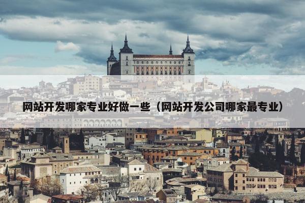 网站开发哪家专业好做一些（网站开发公司哪家最专业）