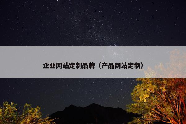 企业网站定制品牌（产品网站定制）