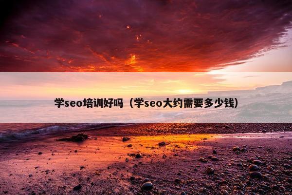学seo培训好吗（学seo大约需要多少钱）