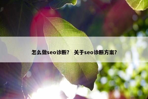 怎么做seo诊断？ 关于seo诊断方案？