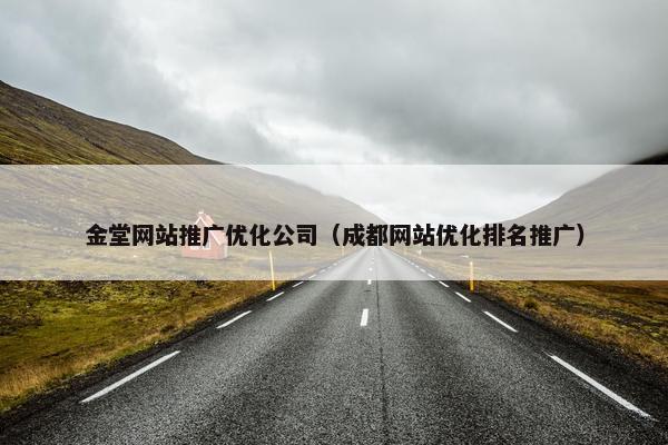 金堂网站推广优化公司（成都网站优化排名推广）