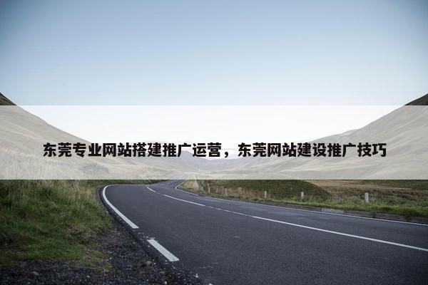 东莞专业网站搭建推广运营，东莞网站建设推广技巧