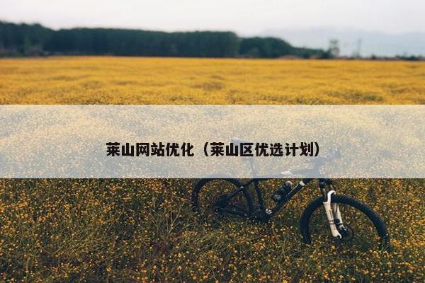莱山网站优化（莱山区优选计划）