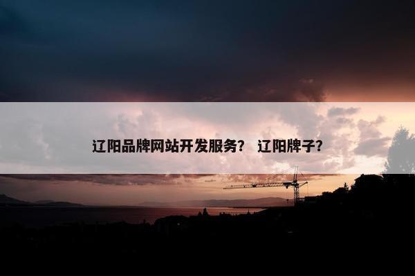 辽阳品牌网站开发服务？ 辽阳牌子？