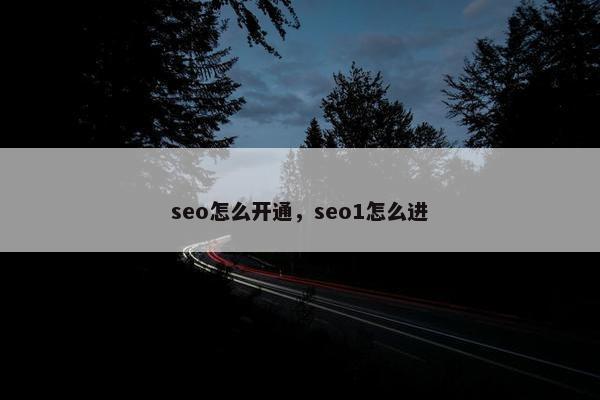 seo怎么开通，seo1怎么进