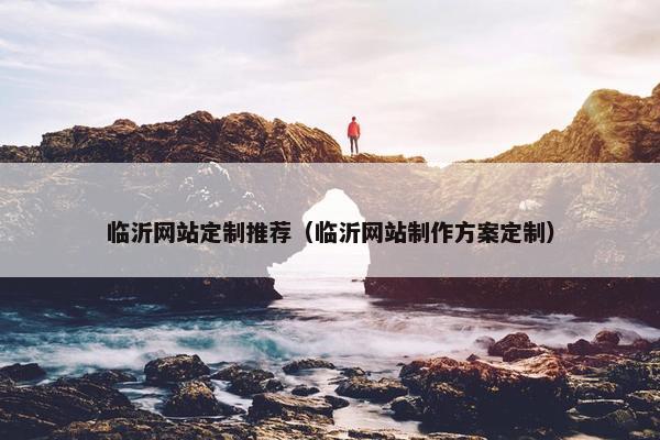 临沂网站定制推荐（临沂网站制作方案定制）