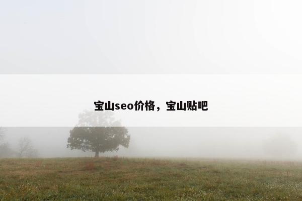 宝山seo价格，宝山贴吧