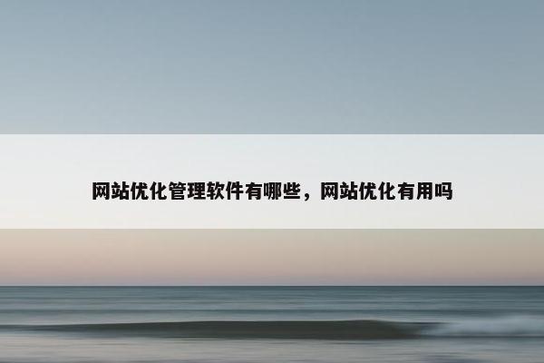 网站优化管理软件有哪些，网站优化有用吗