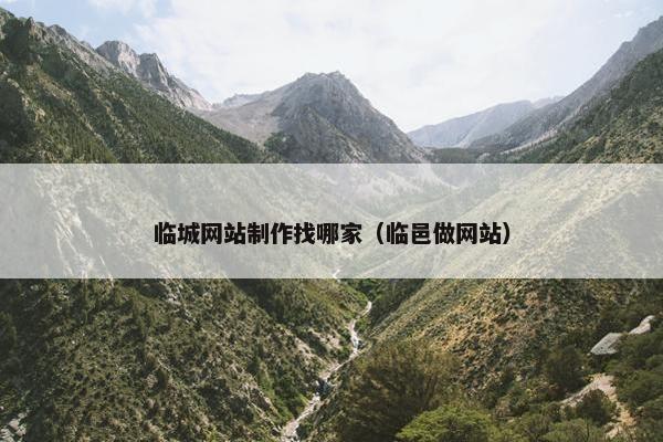 临城网站制作找哪家（临邑做网站）
