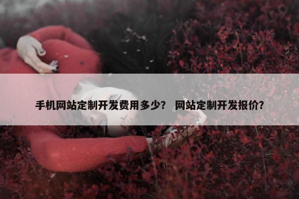 手机网站定制开发费用多少？ 网站定制开发报价？