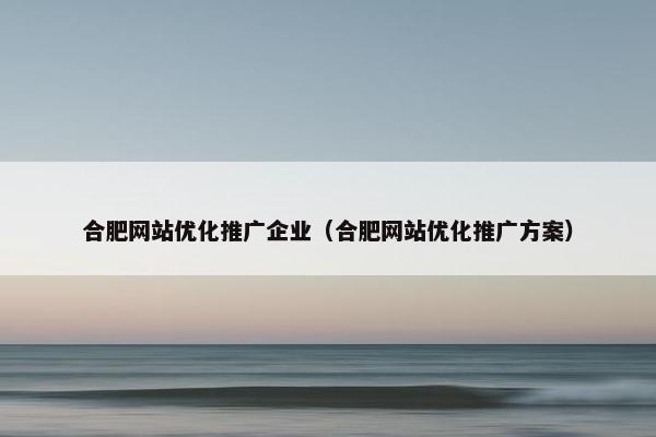 合肥网站优化推广企业（合肥网站优化推广方案）