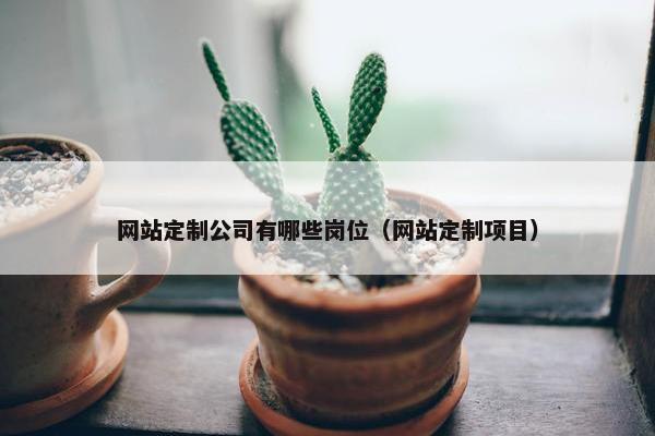 网站定制公司有哪些岗位（网站定制项目）