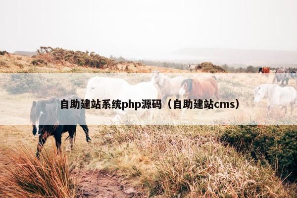 自助建站系统php源码（自助建站cms）