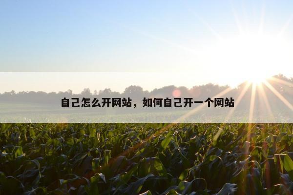 自己怎么开网站，如何自己开一个网站
