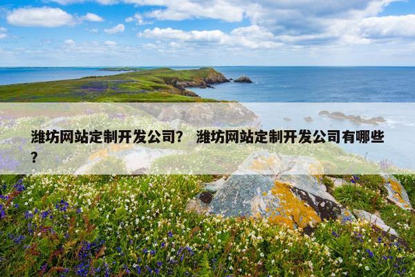 潍坊网站定制开发公司？ 潍坊网站定制开发公司有哪些？