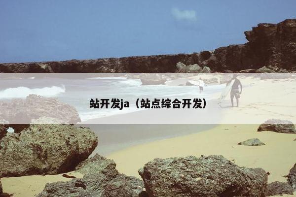 站开发ja（站点综合开发）