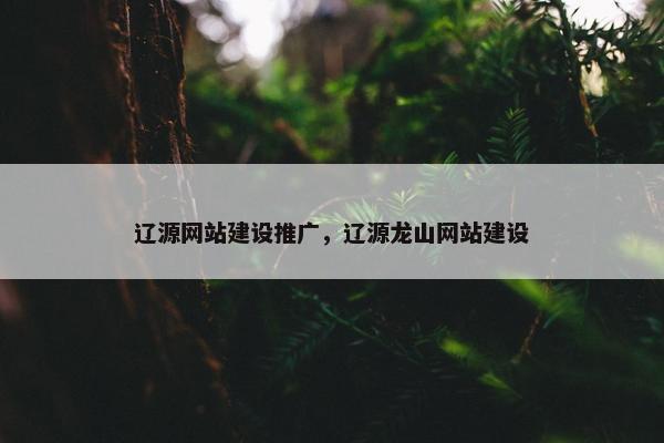 辽源网站建设推广，辽源龙山网站建设