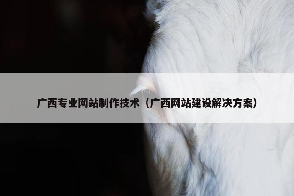 广西专业网站制作技术（广西网站建设解决方案）