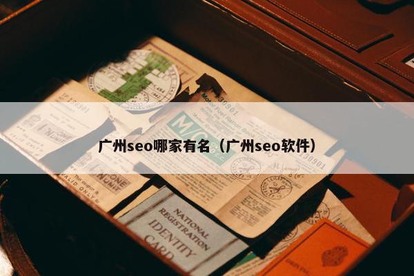 广州seo哪家有名（广州seo软件）