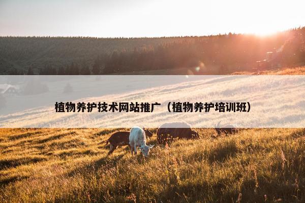 植物养护技术网站推广（植物养护培训班）