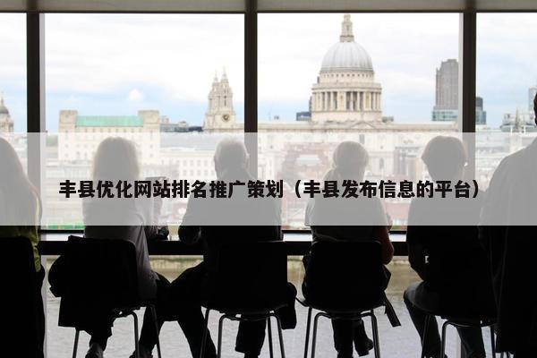 丰县优化网站排名推广策划（丰县发布信息的平台）