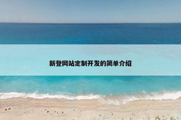 新登网站定制开发的简单介绍