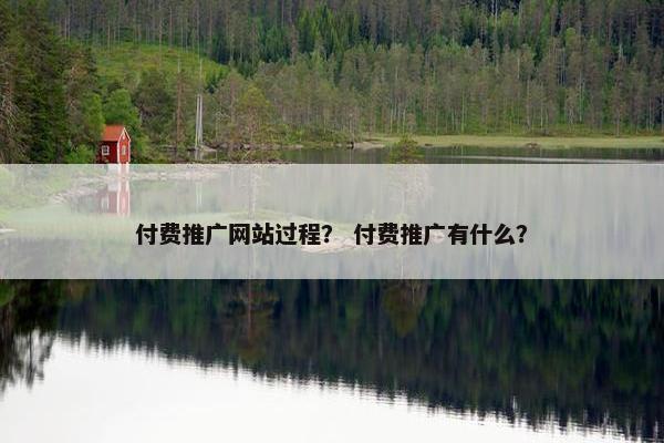 付费推广网站过程？ 付费推广有什么？