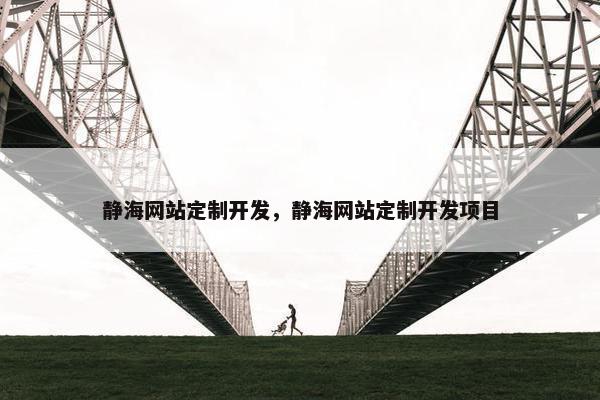 静海网站定制开发，静海网站定制开发项目
