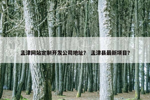 孟津网站定制开发公司地址？ 孟津县最新项目？