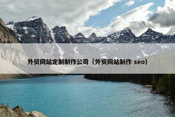 外贸网站定制制作公司（外贸网站制作 seo）