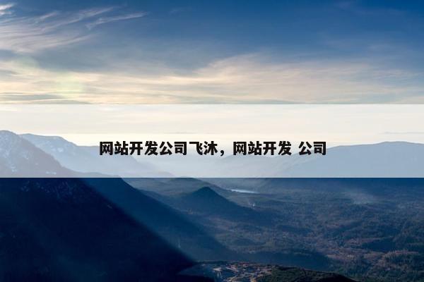 网站开发公司飞沐，网站开发 公司