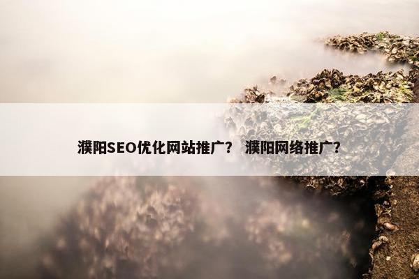 濮阳SEO优化网站推广？ 濮阳网络推广？