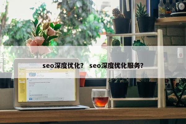 seo深度优化？ seo深度优化服务？