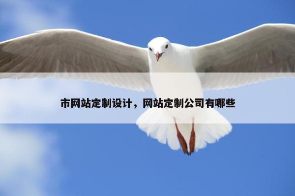市网站定制设计，网站定制公司有哪些