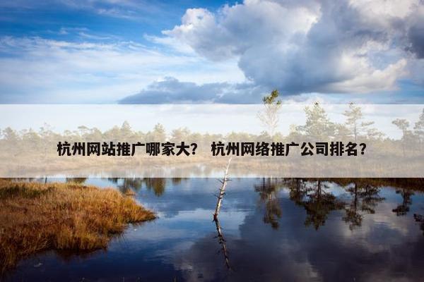 杭州网站推广哪家大？ 杭州网络推广公司排名？