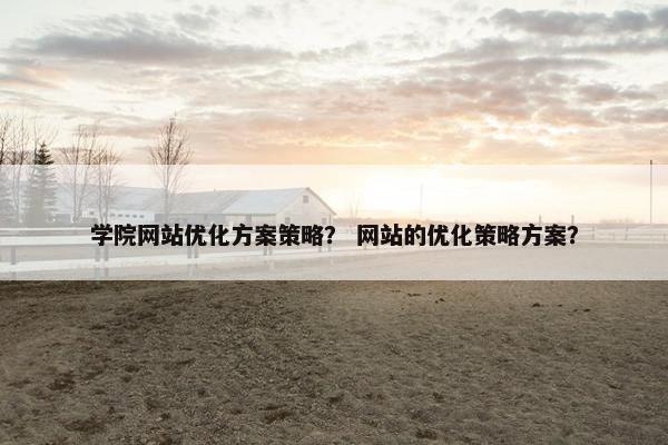 学院网站优化方案策略？ 网站的优化策略方案？