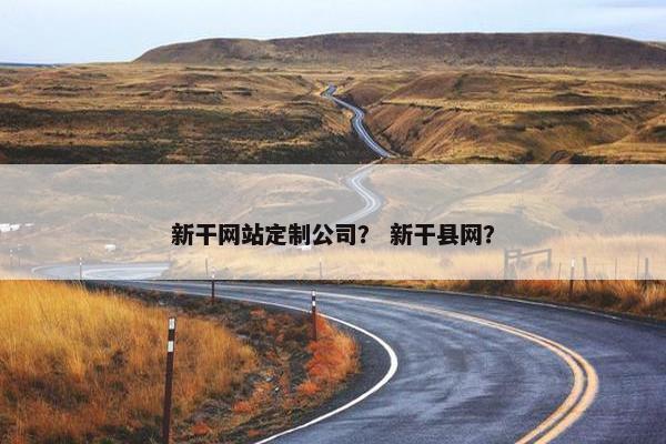 新干网站定制公司？ 新干县网？