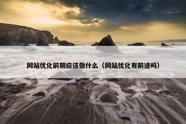 网站优化前期应该做什么（网站优化有前途吗）