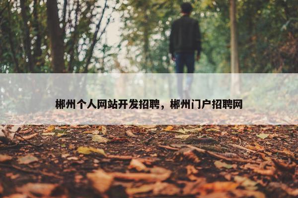郴州个人网站开发招聘，郴州门户招聘网