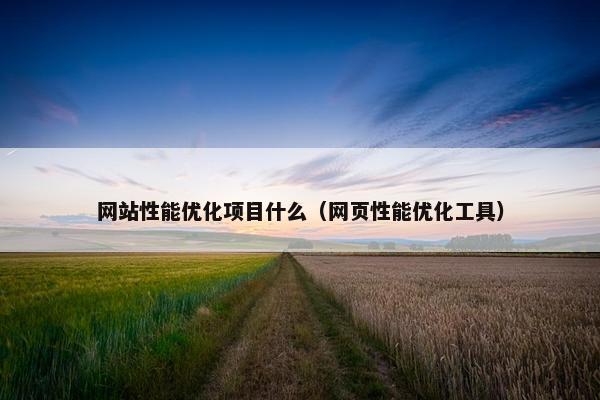 网站性能优化项目什么（网页性能优化工具）