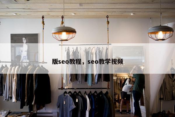 版seo教程，seo教学视频