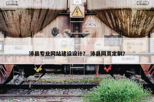 沛县专业网站建设设计？ 沛县网页定制？