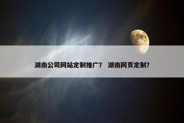 湖南公司网站定制推广？ 湖南网页定制？