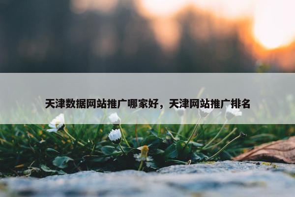 天津数据网站推广哪家好，天津网站推广排名