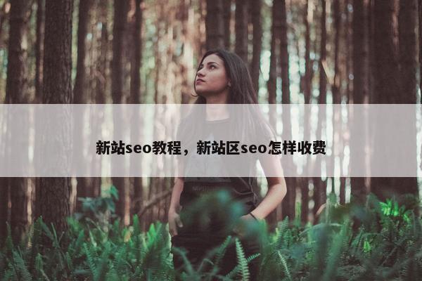 新站seo教程，新站区seo怎样收费