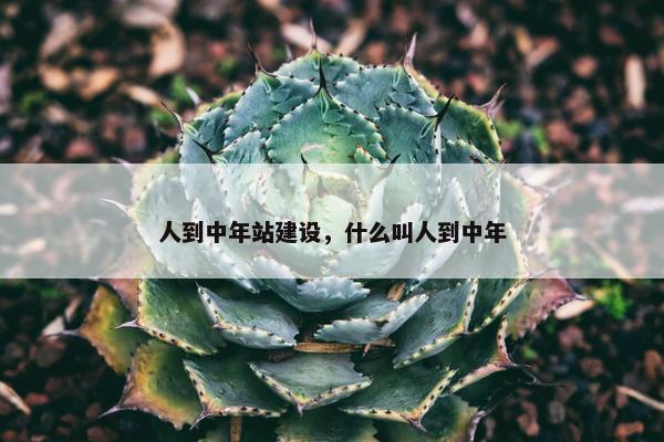 人到中年站建设，什么叫人到中年