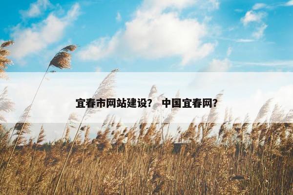 宜春市网站建设？ 中国宜春网？