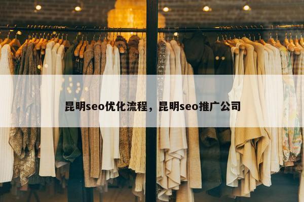 昆明seo优化流程，昆明seo推广公司